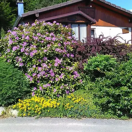 Le Reposion Vila Saint-Amé Exterior foto